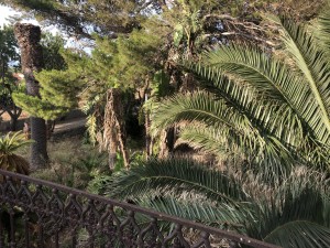 giardino_visto_dal_terrazzo_lato_levante.JPG